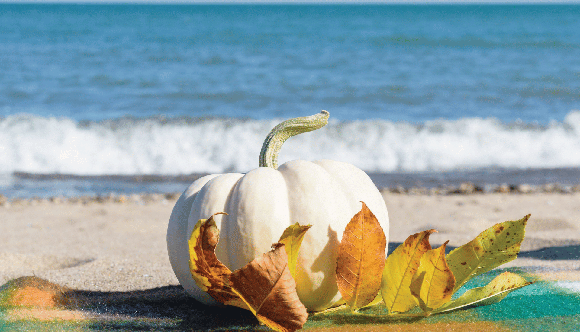 white pumpkin on the beach facing in front of the ocean